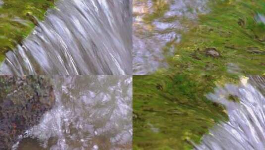 杭州植物园小溪流水特写视频素材高清在线视频素材下载