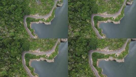 海南昌江热带雨林高清在线视频素材下载