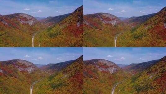 4k风景航拍秋天七彩森林山脉高清在线视频素材下载