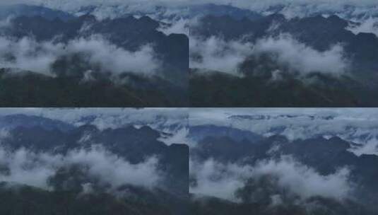 云雾原始森林大自然航拍高清在线视频素材下载