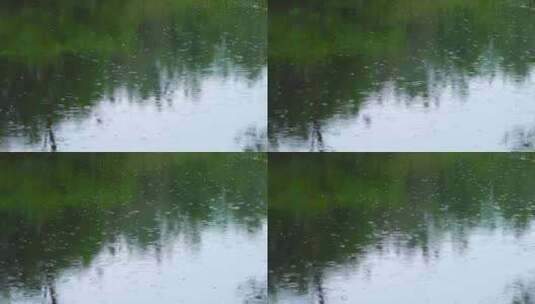 雨水落在绿色树影的池塘里泛起波纹和涟漪高清在线视频素材下载