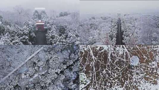 4K航拍南京钟山雪景高清在线视频素材下载