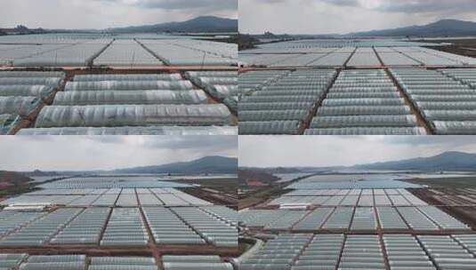 航拍农业大棚基地高清在线视频素材下载