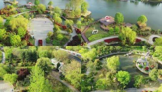 航拍枣庄春天的公园高清在线视频素材下载