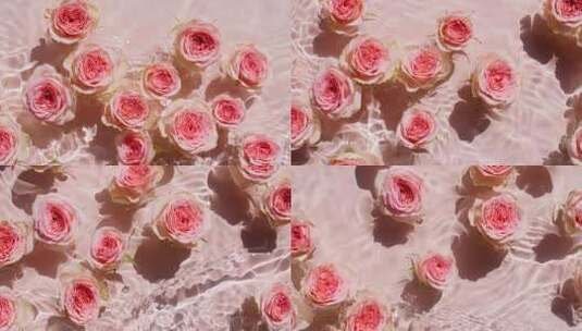 粉红色的玫瑰花在水面和波浪在粉红色的背景高清在线视频素材下载