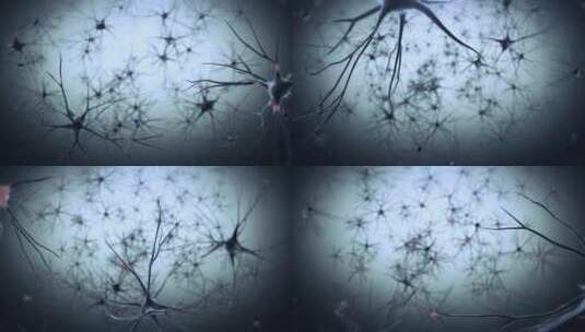 神经元展示高清在线视频素材下载
