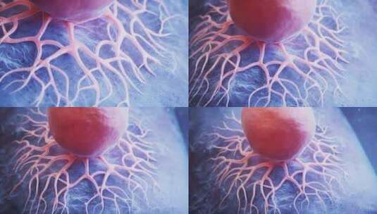 癌细胞与生物医学科研医疗动画三维渲染高清在线视频素材下载