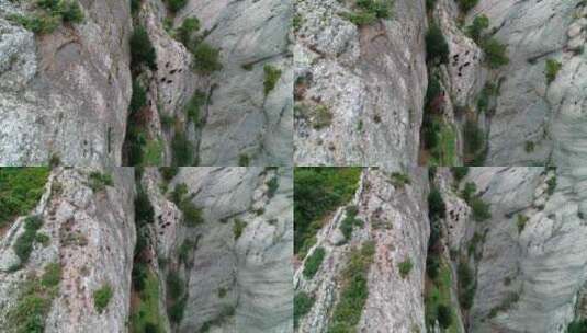 一群山羊在山沟空中行走高清在线视频素材下载