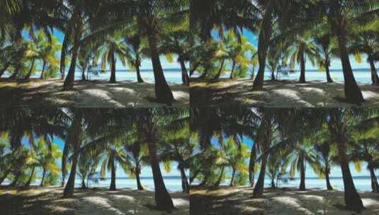 椰子树下的海滩高清在线视频素材下载