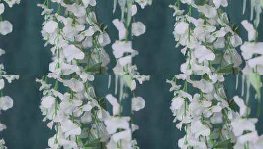 近距离观看兰花的白色花瓣高清在线视频素材下载