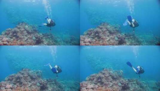潜水员在海底潜水高清在线视频素材下载