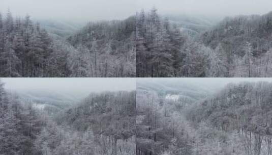 冬季唯美雪景高清在线视频素材下载