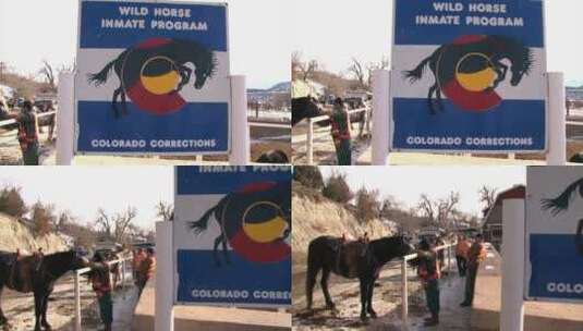 科罗拉多州男人在驯马高清在线视频素材下载