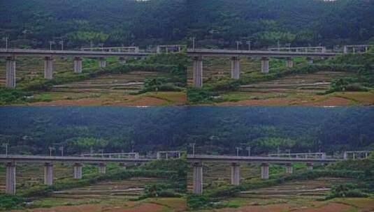 田野中的高铁桥梁高清在线视频素材下载