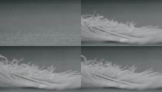 羽毛飘落空镜高清在线视频素材下载