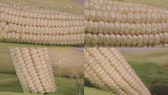 4k实拍升格玉米水滴高清在线视频素材下载
