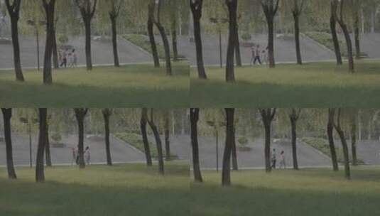 【4K】FX3拍摄公园行人高清在线视频素材下载
