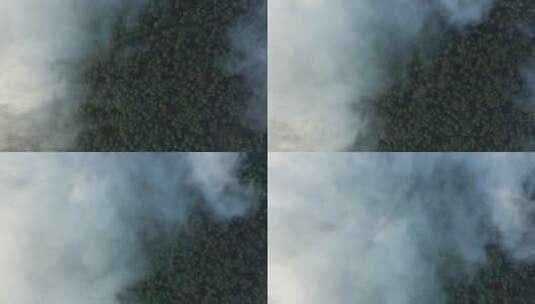 森林河流水汽雾气大自然1高清在线视频素材下载