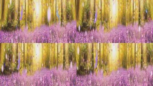 唯美薰衣草 蝴蝶花瓣粒子 阳光森林秋色风景高清在线视频素材下载