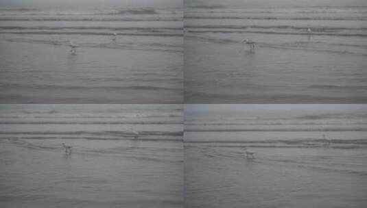 阴天大海阴雨天雾天海边沙滩阳光海滩海浪水高清在线视频素材下载