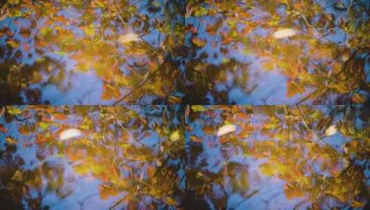 新英格兰河流中反射出的美丽的秋季树叶高清在线视频素材下载