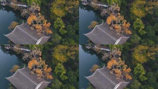 航拍秋天的园林 苏州园林秋色高清在线视频素材下载