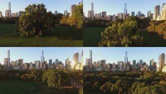 纽约中央公园城市航拍高清在线视频素材下载