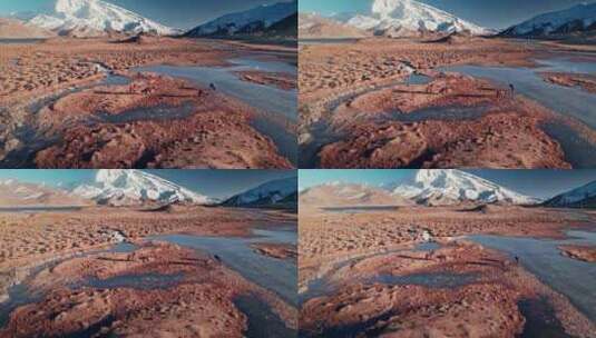 航拍新疆帕米尔高原慕士塔格峰吃草的马高清在线视频素材下载