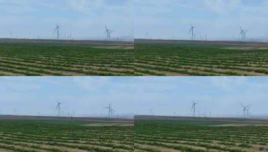 风力发电 大风车 清洁能源高清在线视频素材下载