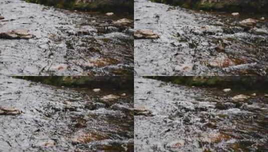 清澈的溪水流动高清在线视频素材下载