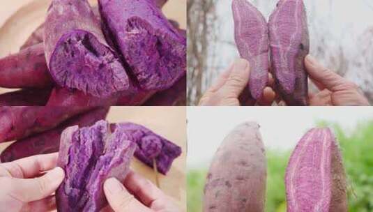 紫罗兰紫薯高清在线视频素材下载