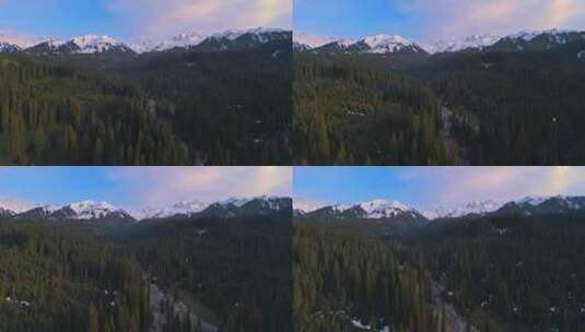 航拍雪山森林自然风景高清在线视频素材下载