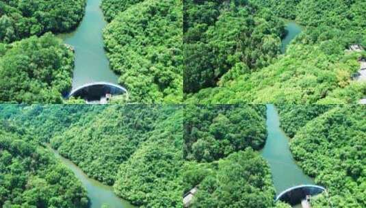 4K陕西安康香溪洞自然风光航拍视频高清在线视频素材下载