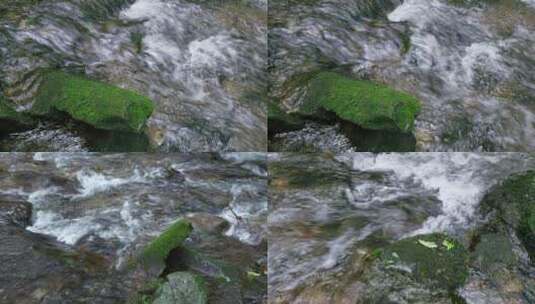 云南千家寨原始森林 湍急溪水冲刷溪石青苔高清在线视频素材下载