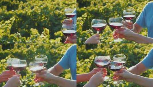 一群游客在葡萄园附近品尝葡萄酒。一起碰杯高清在线视频素材下载
