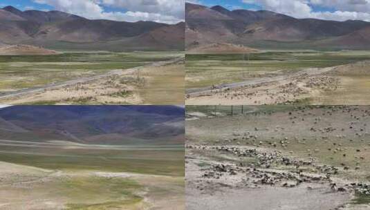 航拍西藏沿路羊群风光高清在线视频素材下载