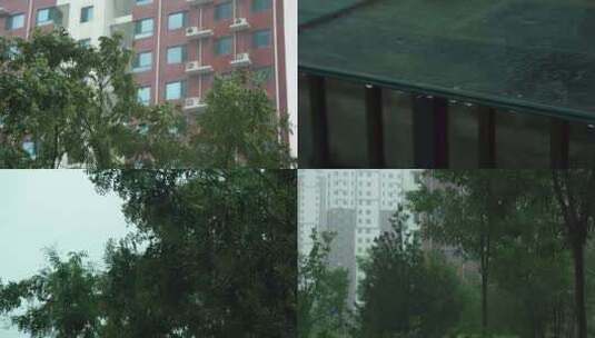 大雨磅礴高清在线视频素材下载