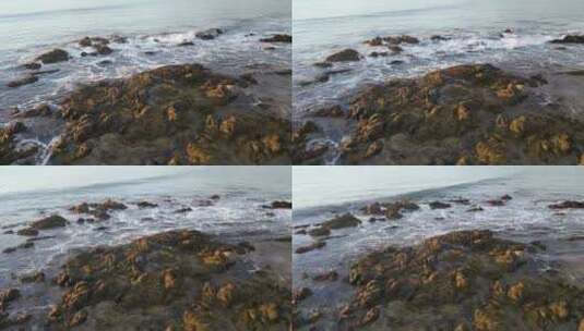 海浪、海藻、海浪拍打礁石高清在线视频素材下载
