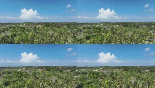 印度尼西亚巴厘岛佩尼达岛热带雨林自然风光高清在线视频素材下载