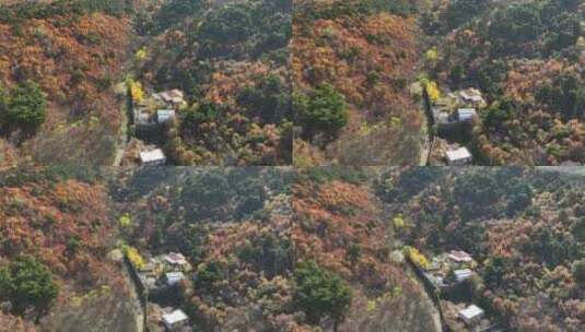 辽宁千山秋景航拍高清在线视频素材下载