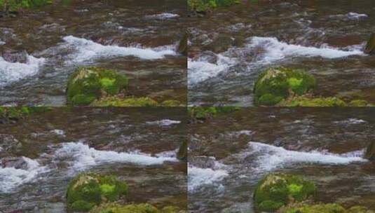 水流苔藓溪流水花高清在线视频素材下载