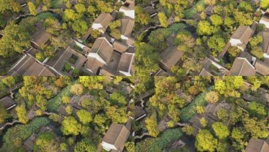 秋季晴天黄昏时分的苏州园林拙政园高清在线视频素材下载