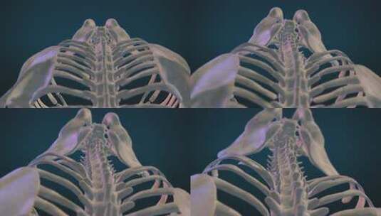 医学强健3D动画高清在线视频素材下载