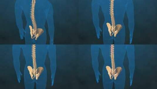 医学强健3D动画高清在线视频素材下载