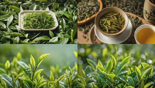 茶叶绿茶泡茶茶园茶山高清在线视频素材下载