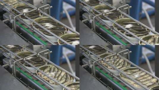 鱼罐头生产线高清在线视频素材下载