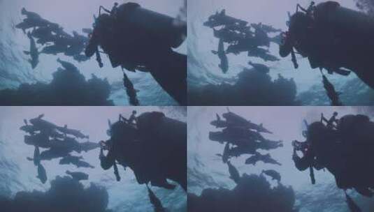 潜水员在海底拍照高清在线视频素材下载