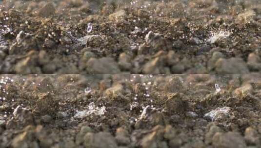 水滴落在农场的土壤上高清在线视频素材下载