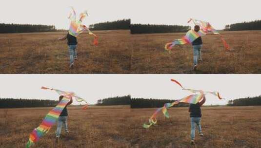 在草地上放风筝的男孩高清在线视频素材下载
