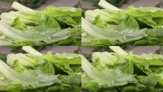 青菜小白菜菜叶叶子蔬菜高清在线视频素材下载
